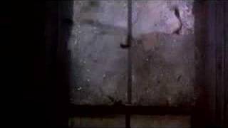 Johnny Suede (1991) Video