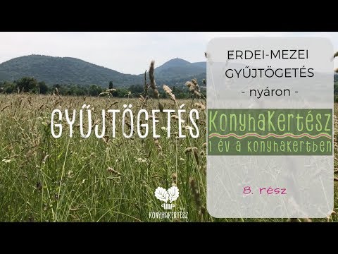 Gyógynövények gyűjtése pikkelysömörhöz