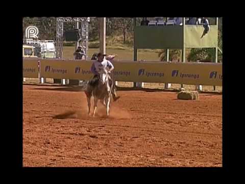 Aberta Brasília – 4° lugar machos – Faceiro da Mangueira Velha