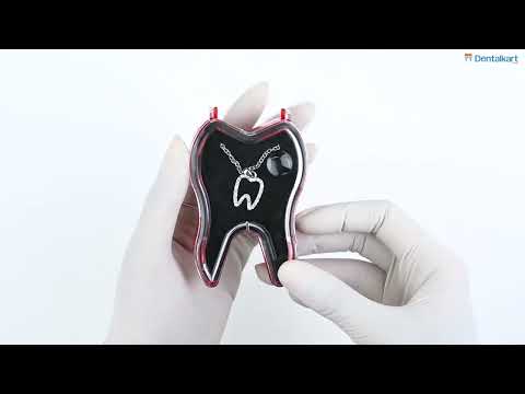 IDENTical Tooth Shape Necklace