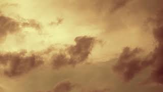 源氏物語　花宴