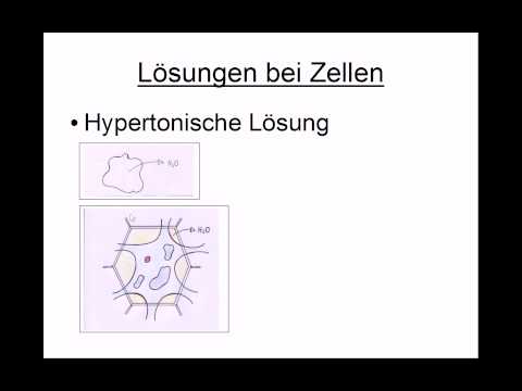 Forum für Patienten mit pulmonaler Hypertonie Krankheitsgeschichte. CHD. hypertonischen Krankheit