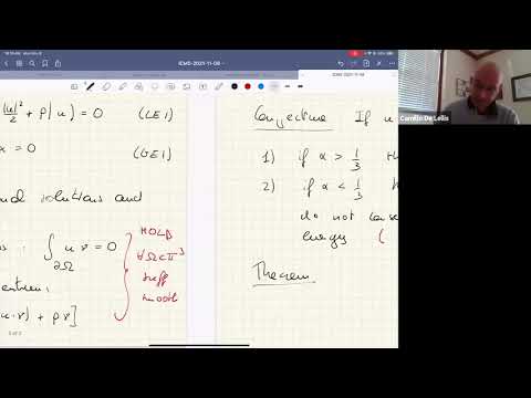 Camillo De Lellis, Dissipative Euler Flows 1