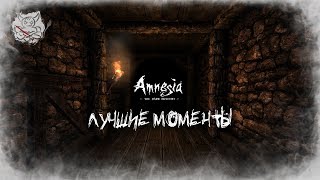 Amnesia - Лучшие Моменты [Нарезка]