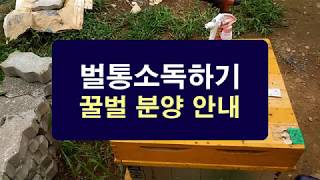 벌통 내부 소독하기, 질병 예방을 위한 벌통 소독, 꿀벌 분양 안내