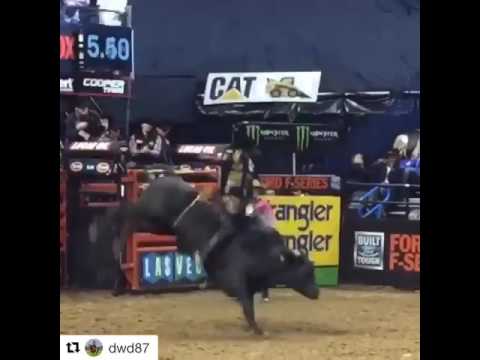 trim 0EED958D A041 4C23 8CBD 399FFF9E2E3A