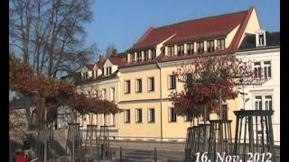 preview picture of video 'Freiberg _Schlossplatz _Zierapfel Red Sentinel_2012_11_17'