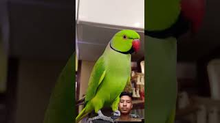 Download lagu https://youtube.com/shorts/vgLKqTf5f6w?si=yypydTzbbN36Hg mp3 Download lagu https://youtube.com/shorts/vgLKqTf5f6w?si=yypydTzbbN36Hg mp3