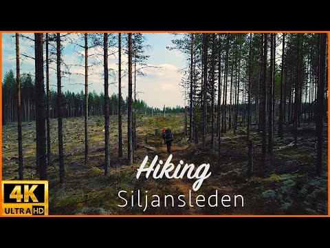 Hiking Siljansleden in Dalarna, Sweden 4K