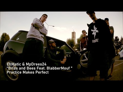 EllMatic - Birds and Bees Feat. BlabberMouf (Prod. MpDrees24)