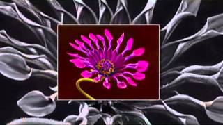 Antonis Remos - I alitheia einai ( Bulgarian translation )