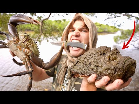 3 Days Solo MANGROVE ISLAND Survival | No Food or Shelter