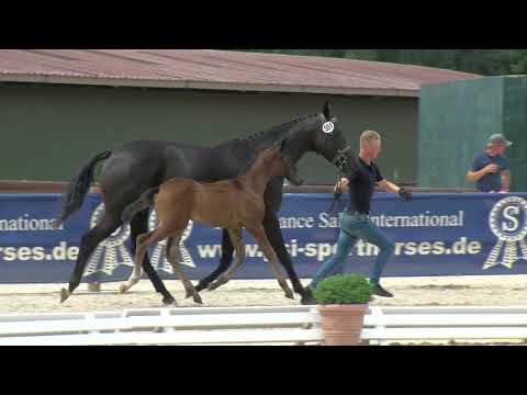 Rumpke, Jovian-Enzo Ferrari-Sandro Hit