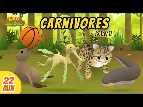 Carnivores Minisode Compilation (Part 1/6) - Leo the Wildlife Ranger | Animation | For Kids | Family