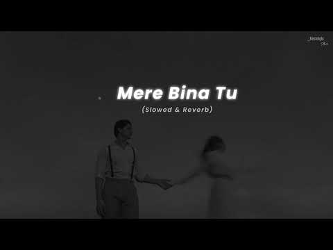 Mere Bina Tu - (Slowed & Reverb) | Rahat Fateh Ali Khan | Nostalgic