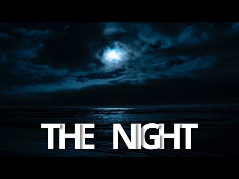 Alan Walker Style , Albert Vishi - The Night [Tradução/Legendado] feat. TonyZ