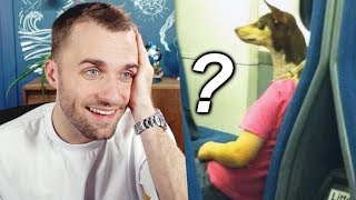 Vous voyez quoi vous 