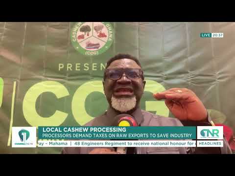 Cashew Processors Want Taxes on Raw Cashew Exports to Protect Local Industry