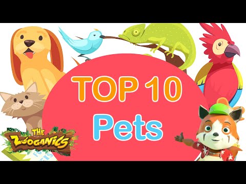 Top 10 Pets !! Learn Names Of Pets For Kids !! The Zooganics