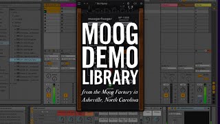 Video thumbnail for Moogerfooger Effects Plug-ins | MF-109S Saturator Demo by Moog Music