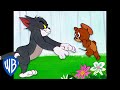 Tom Jerry Run Jerry Run Classic Cartoon Compilation WB Kids