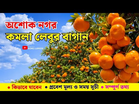 Asoknagar Komla Lebu Bagan | Asoknagar Orenge Garden | Nearest Tourist Spot From Kolkata