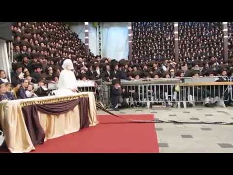Highlights of Belz Mitzvah Tantz in 20 minutes - רגעי השיא של המצוה טאנץ בבעלזא