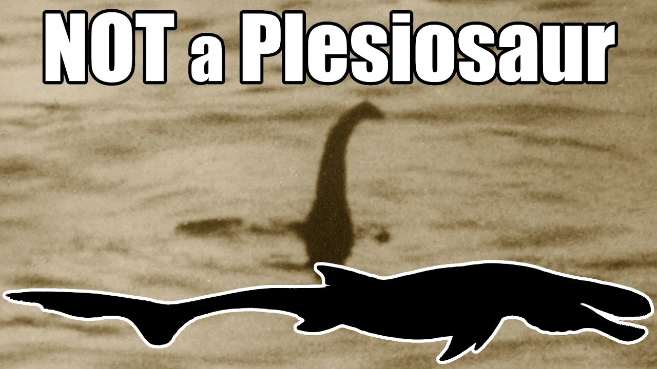 What if the Loch Ness Monster was Real? - Speculative Evolution