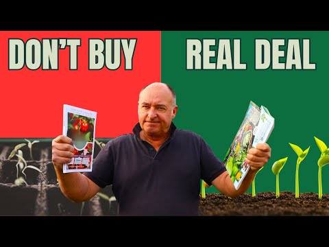 Stop Wasting Money on Bad Seeds! (5 Suppliers We Actually Trust)