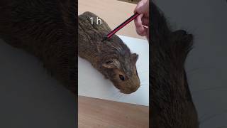 Drawing a mini version of capybara!🤎#funny #capybara #drawing