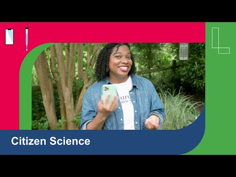 Citizen Science: スマートフォンで昆虫を狩る