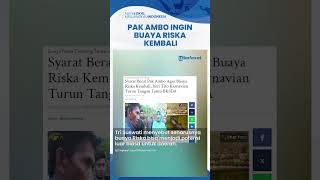 Buaya Riska Tak Mau Makan di Penangkaran, Pak Ambo Ingin Buaya Riska Kembali, Ini Syaratnya