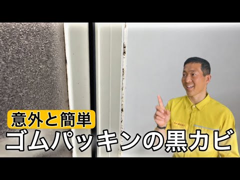  SOS: 苗にカビが発生しました!彼らを救えるでしょうか？やり方は？  庭園
