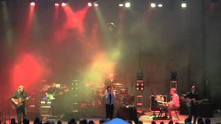 CARBON LEAF  -Miss Hollywood-