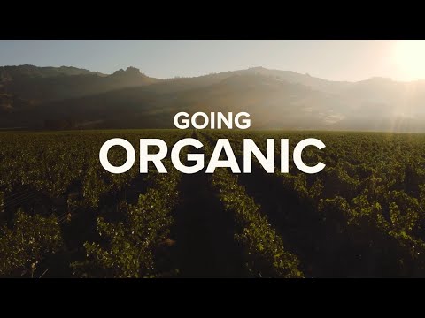Stag’s Leap Wine Cellars Going Organic | Cellar Talks