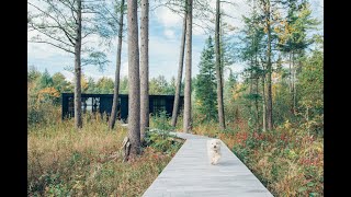 3671 S Sunrise Lane, Lake Leelanau, MI 49653 - Luxury Spotlight