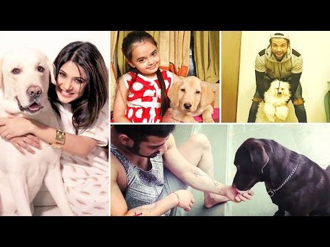 Television Celebrities with their adorable Pets