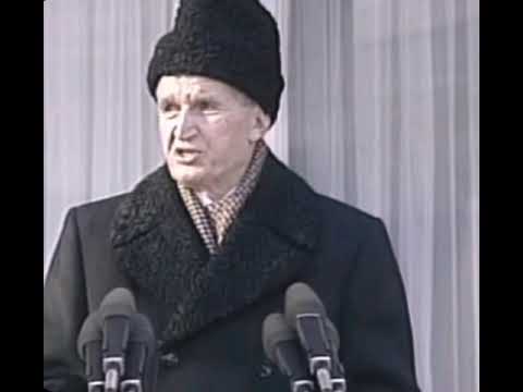 2ARC-TETSZIK,NEM TETSZIK