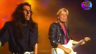 Modern Talking  -   Dont worry baby