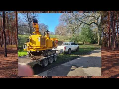 Arborists N E video.