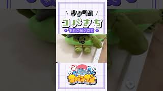きょうのコバきち ショート動画【家具の組み立て】#コバきち #コバすけ #わくわく魚っちんぐ #おとこぎコバンザメ #コバンザメ #子供向け #きょうのコバきち #vlog #ドーナツ #DIY