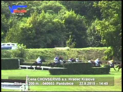 22. 8. 2015 - 4. dostih - Cena CHOVSERVIS a.s. Hradec Králové