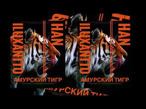 iluxantto & HAN - Амурский тигр [Official Audio]