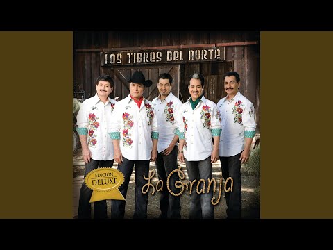 Mi negocio esta seguro - Los Tigres Del Norte