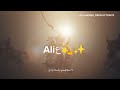 ALAM BARDAR AATA HAI WHATSAPP STATUS NOHA STATUS Imamhussain Alambardar Nadeemsarwar