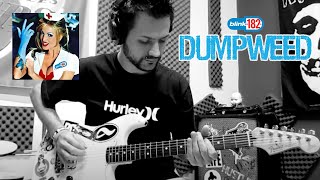 Blink 182 - Dumpweed Guitar Cover