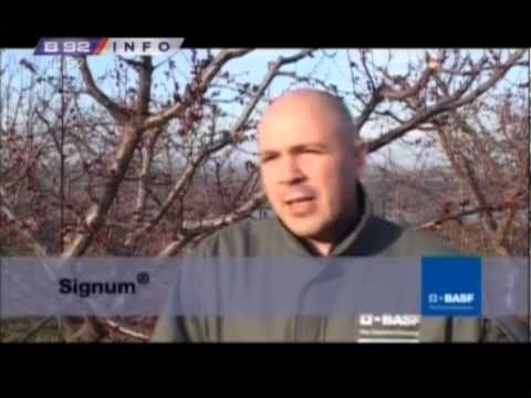 BASF interventna 17.03.2013. - SIGNUM