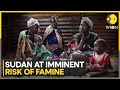 Humanitarian crisis worsening in Sudan, at imminent risk of famine: UN warns | World News | WION