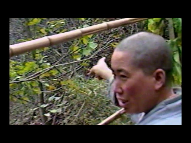 Hermits1 SDDEFAULT Thumbnail