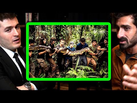 The largest snake on Earth: How big do Anacondas get? | Paul Rosolie and Lex Fridman